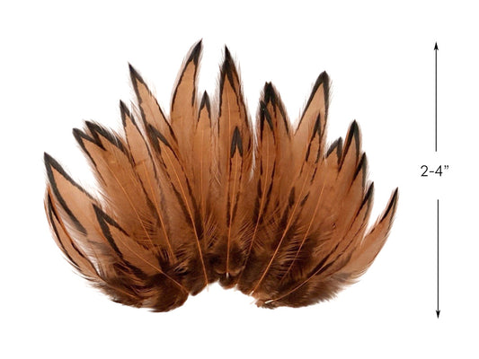 1 Dozen - Golden Brown Whiting Farms BLW Laced Hen Cape Loose Feathers