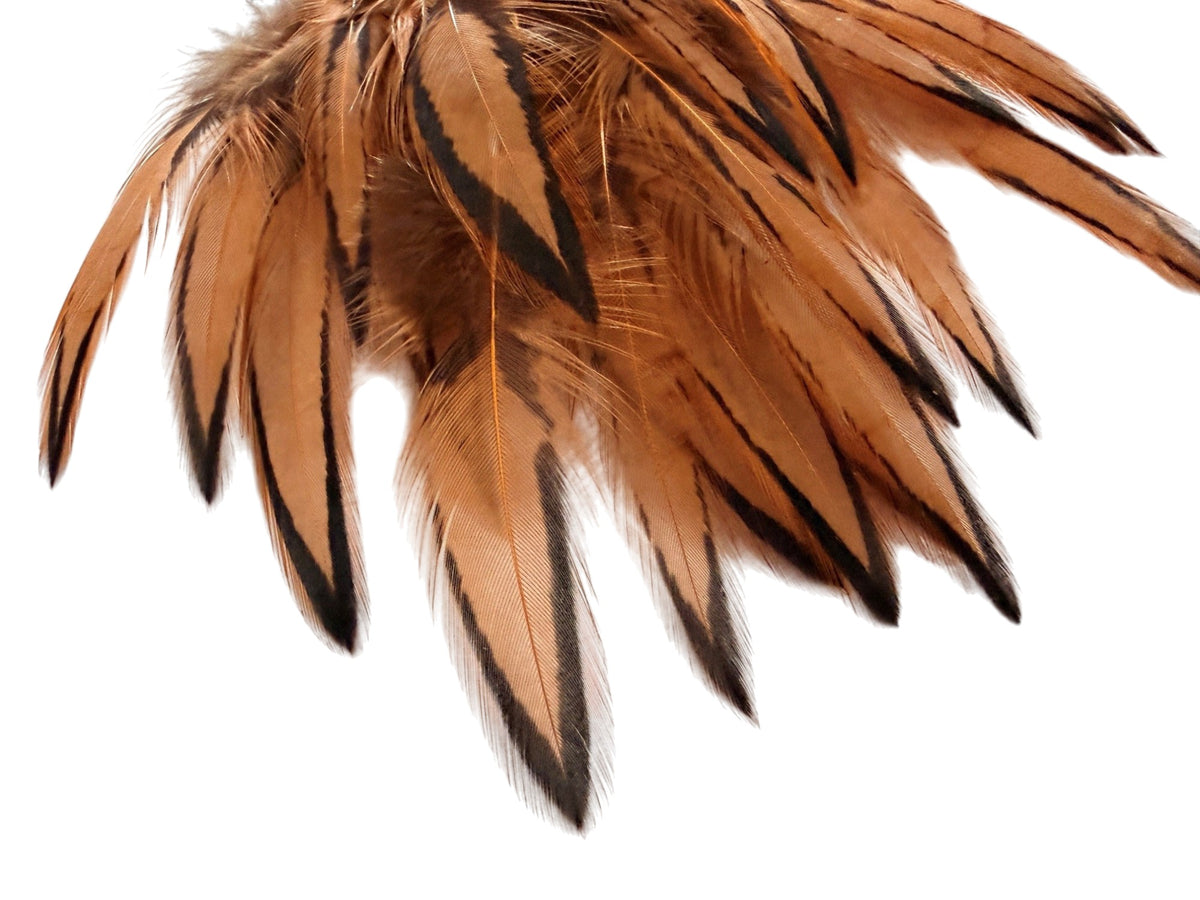 1 Dozen - Golden Brown Whiting Farms BLW Laced Hen Cape Loose Feathers