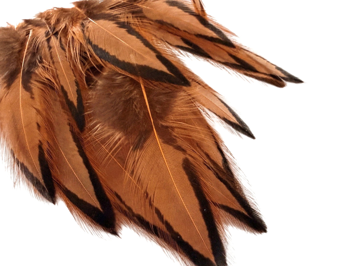 1 Dozen - Golden Brown Whiting Farms BLW Laced Hen Cape Loose Feathers