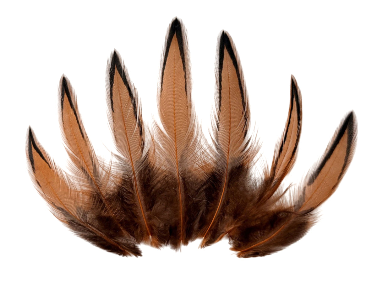 1 Dozen - Golden Brown Whiting Farms BLW Laced Hen Cape Loose Feathers