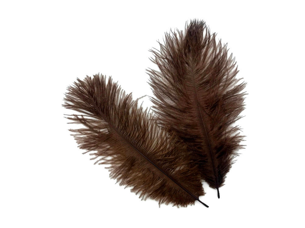 100 Pieces - 8-10" Brown Ostrich Dyed Drab Body Wholesale Feathers (Bulk)