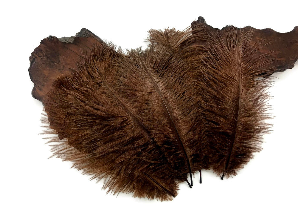 100 Pieces - 8-10" Brown Ostrich Dyed Drab Body Wholesale Feathers (Bulk)