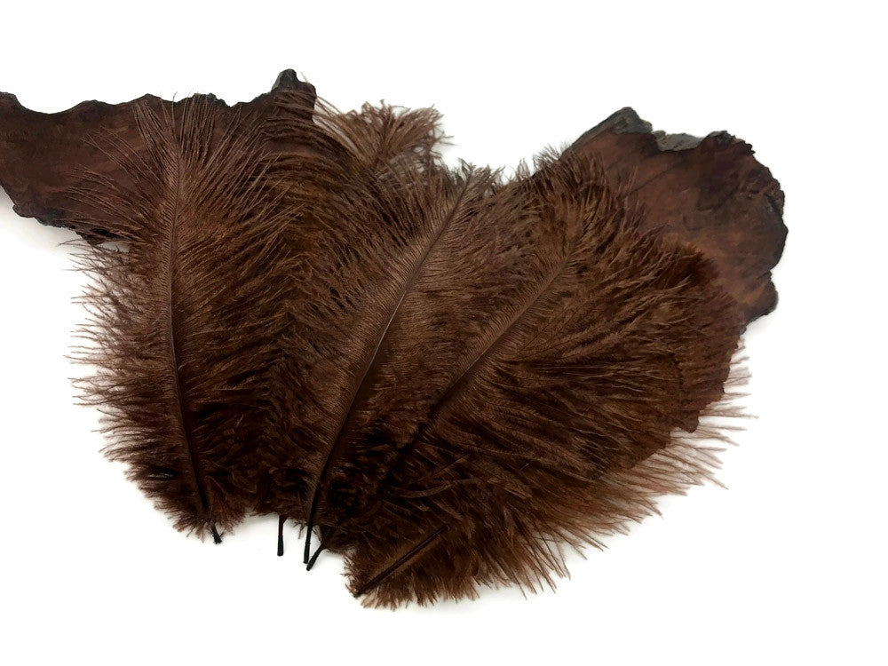 100 Pieces - 6-8" Brown Wholesale Ostrich Drabs Feathers (Bulk)