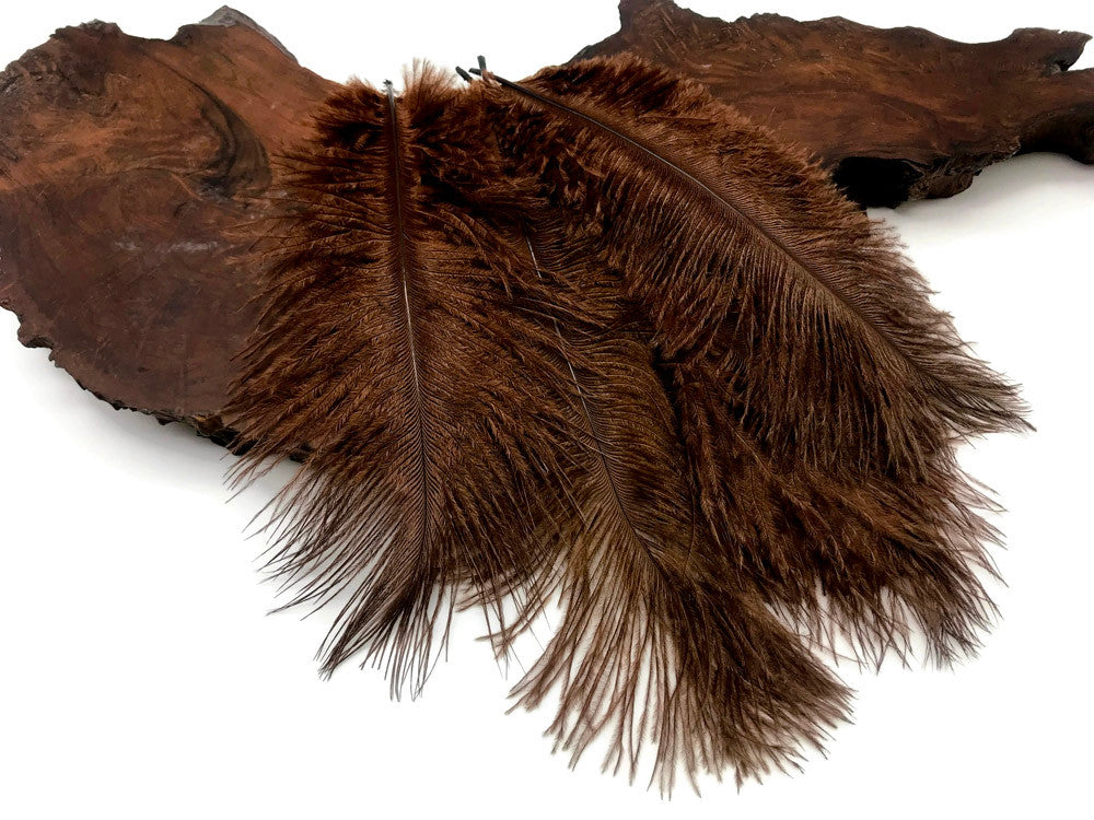 100 Pieces - 8-10" Brown Ostrich Dyed Drab Body Wholesale Feathers (Bulk)