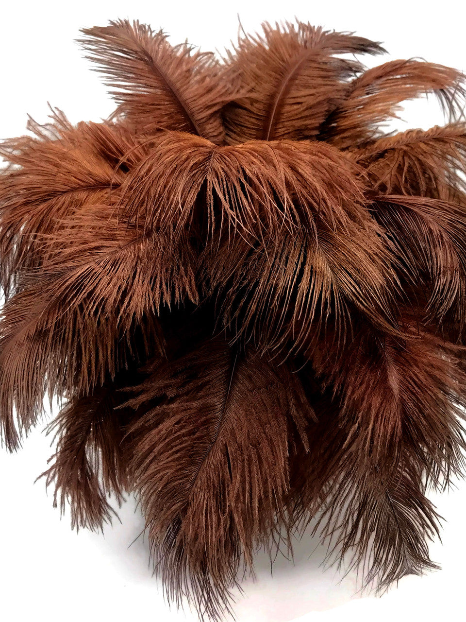 10 Pieces - 6-8" Brown Ostrich Dyed Drabs Body Feathers