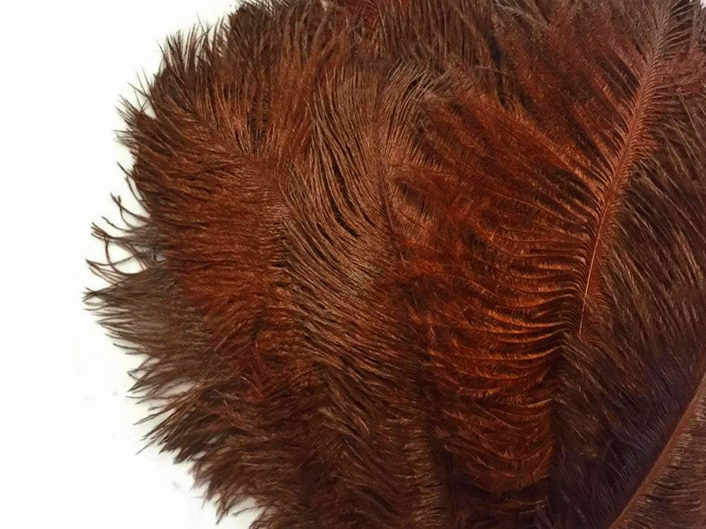 1/2 Lb. - 9-13" Brown Dyed Ostrich Body Drab Wholesale Feathers (Bulk)