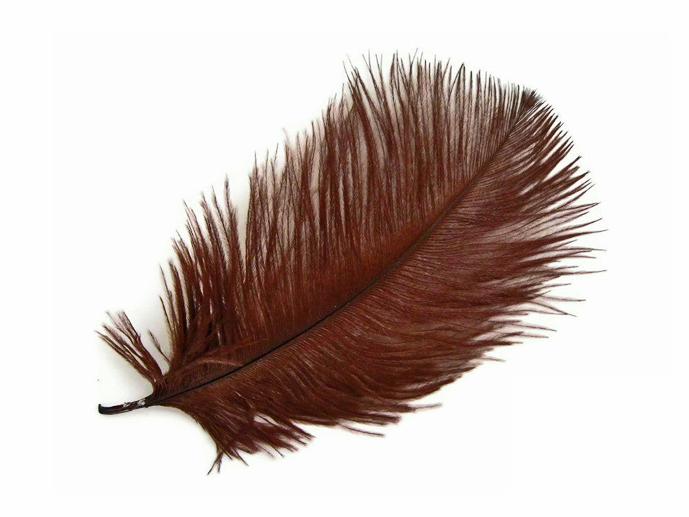 10 Pieces - 8-10" Brown Ostrich Dyed Drabs Feathers