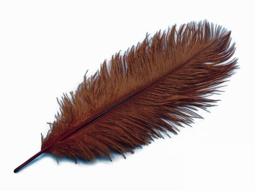 1/2 Lb. - 9-13" Brown Dyed Ostrich Body Drab Wholesale Feathers (Bulk)