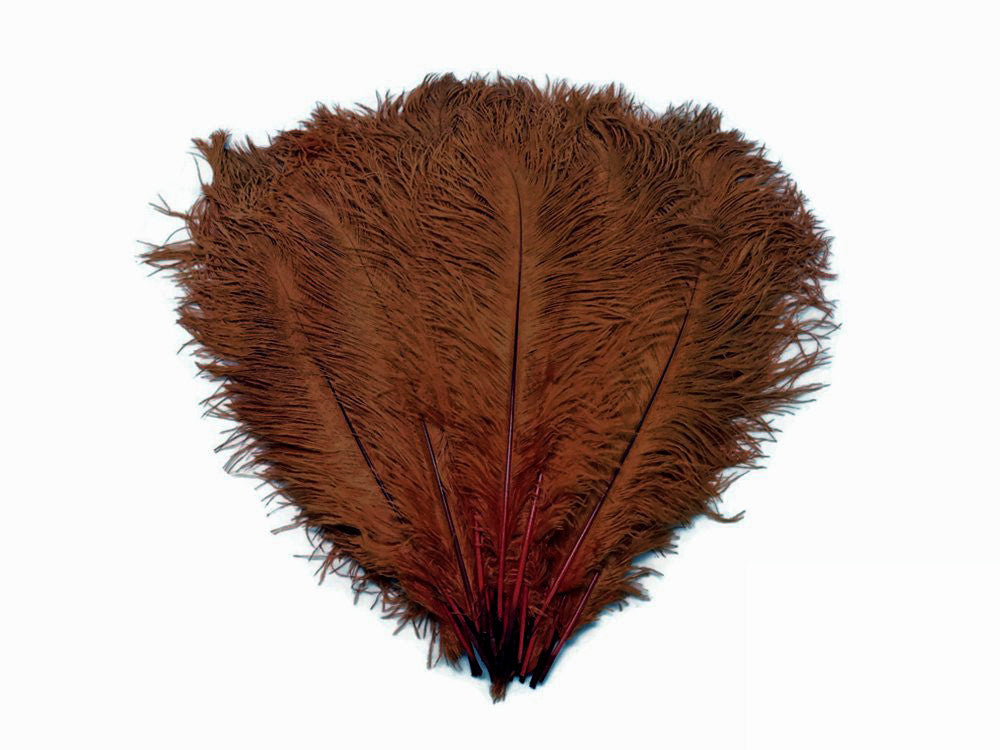 10 Pieces - 11-13" Brown Bleached & Dyed Ostrich Drabs Body Feathers