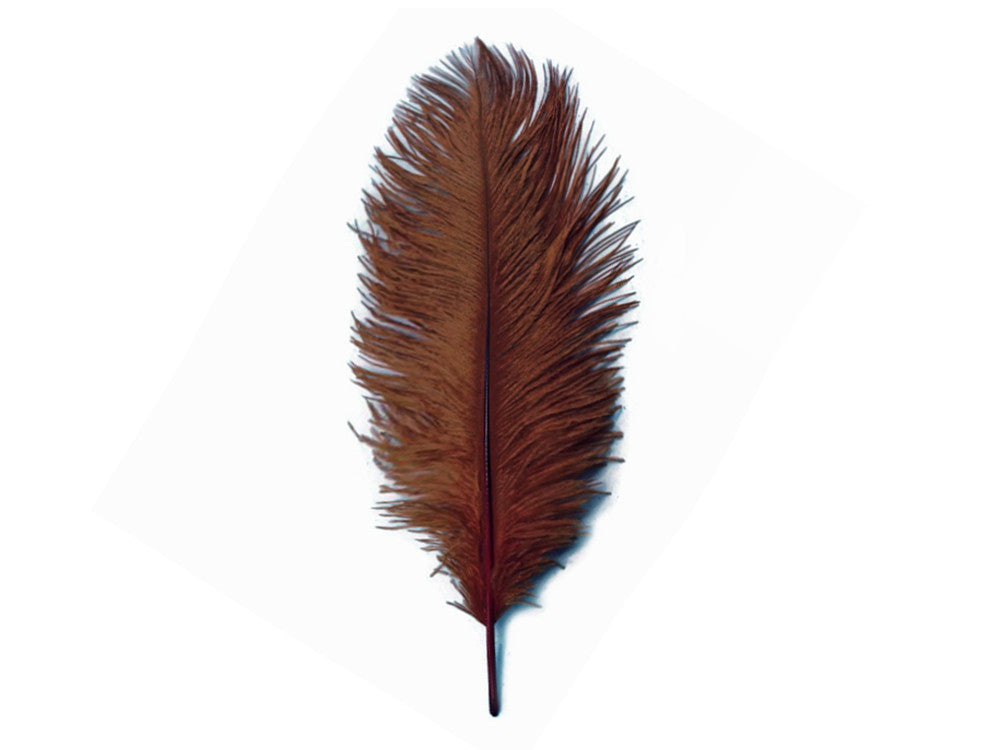 1/2 Lb. - 9-13" Brown Dyed Ostrich Body Drab Wholesale Feathers (Bulk)