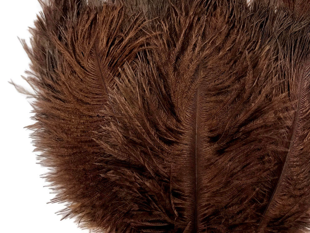 100 Pieces - 8-10" Brown Ostrich Dyed Drab Body Wholesale Feathers (Bulk)