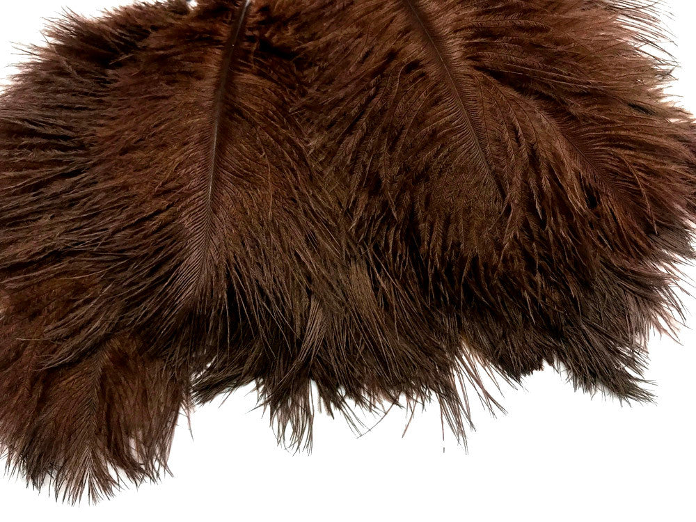 10 Pieces - 6-8" Brown Ostrich Dyed Drabs Body Feathers