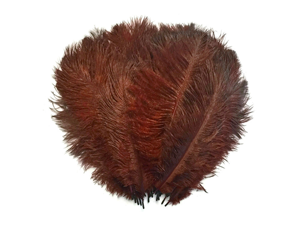 10 Pieces - 11-13" Brown Bleached & Dyed Ostrich Drabs Body Feathers