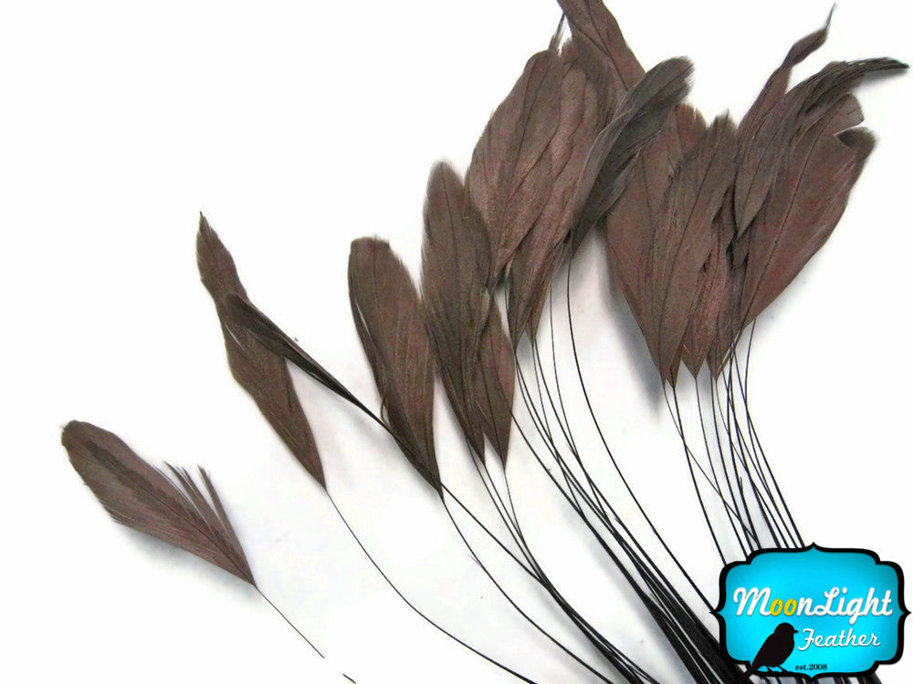 1 Dozen - Brown Stripped Rooster Coque Tail Feathers