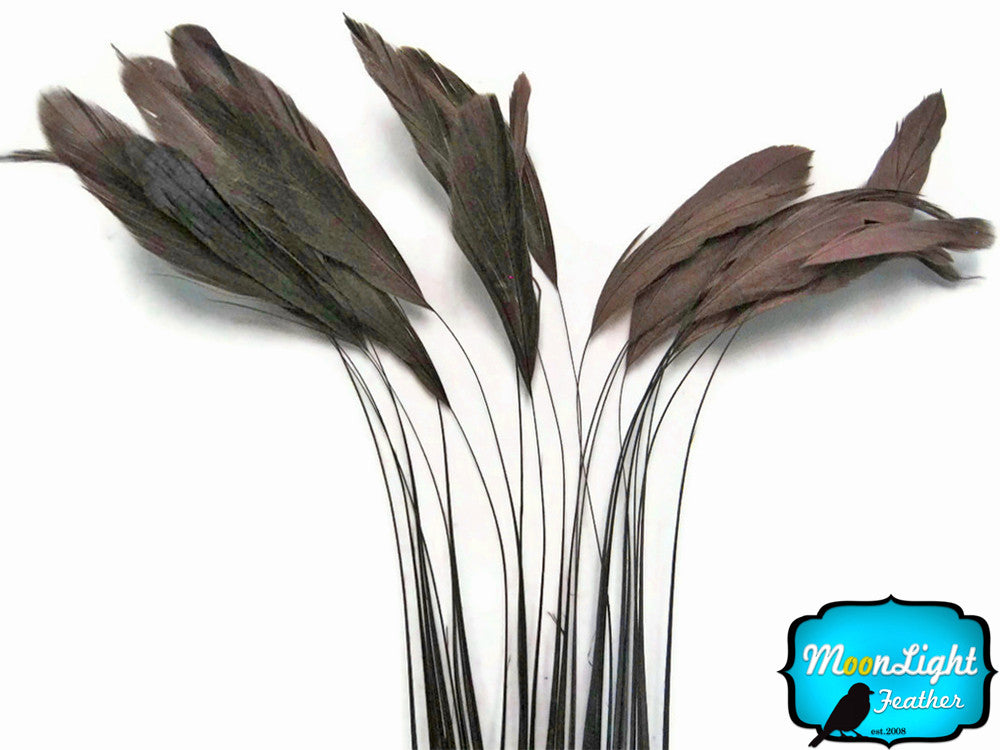 1 Dozen - Brown Stripped Rooster Coque Tail Feathers