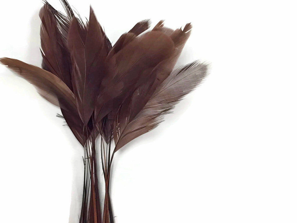 1 Dozen - Brown Stripped Rooster Coque Tail Feathers