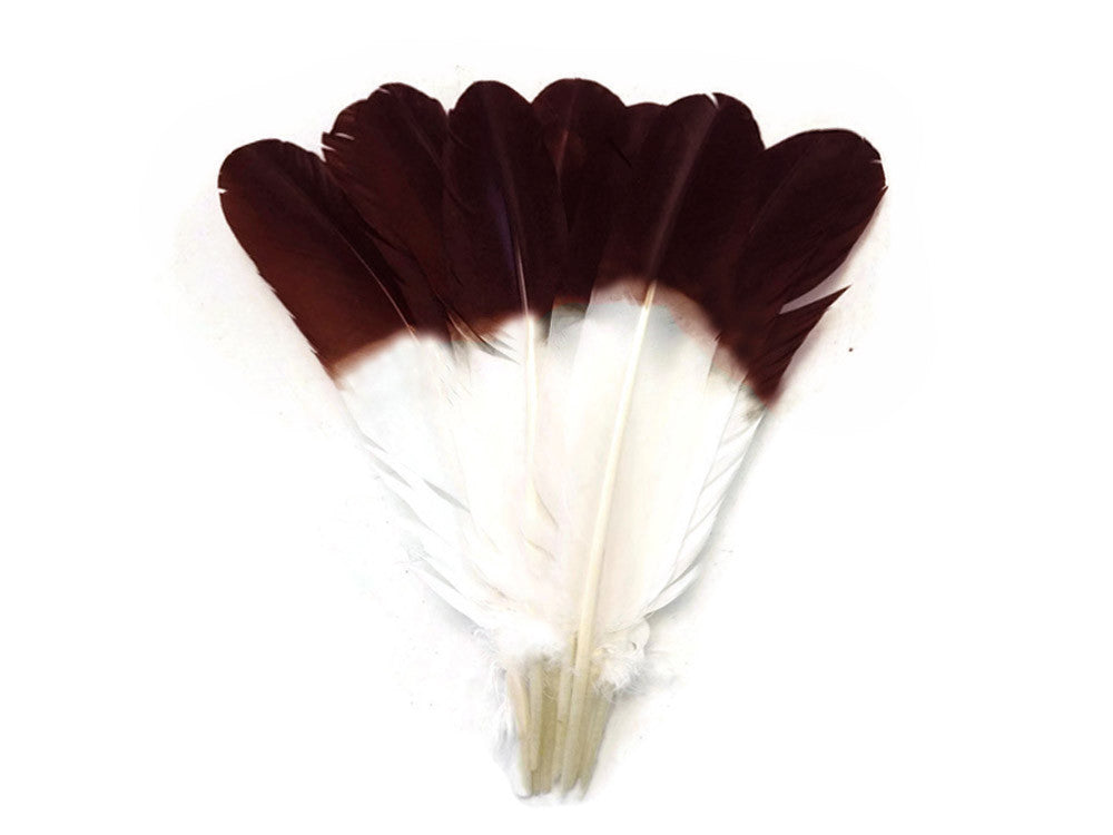 6 Pieces - Brown Tipped "Imitation Eagle" Turkey Tom Rounds Secondary Wing Quill Feathers