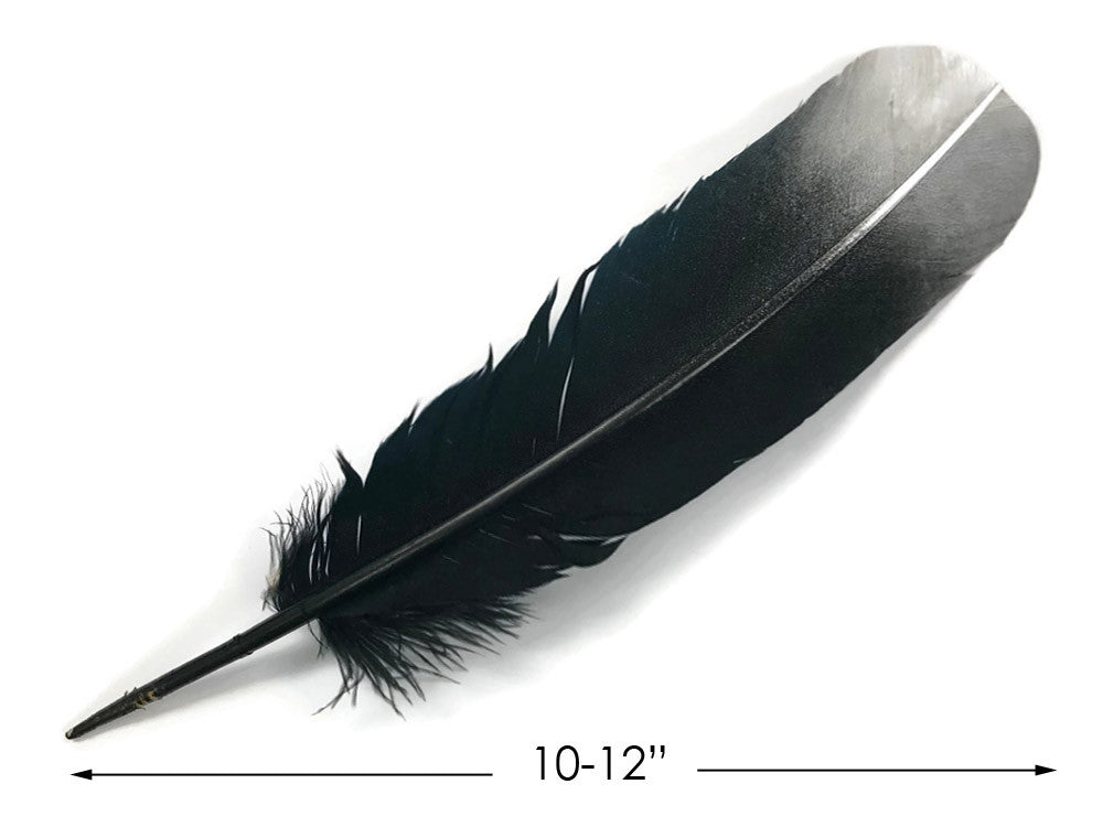 1/4 lbs. - Silver Metallic Spray Paint Over Black Tipped Tom Turkey Rounds Imitation "Eagle" Wholesale Feathers (Bulk)