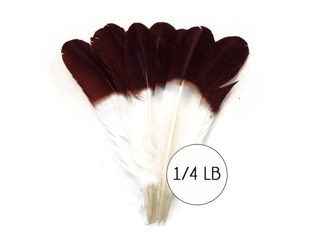 1/4 lbs. - Brown Tipped Tom Turkey Rounds Imitation "Eagle" Wholesale Feathers (Bulk)