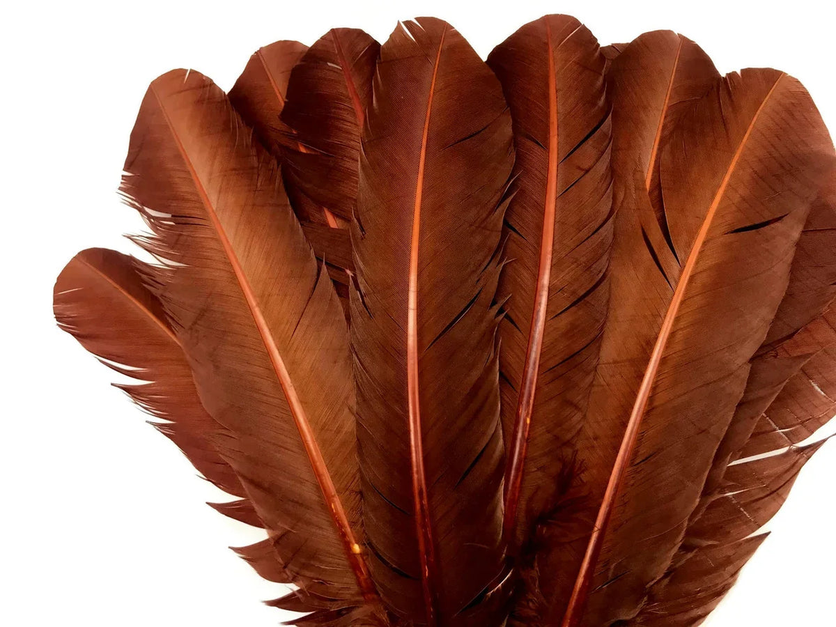 Large reddish-brown craft feathers for DIY fashion and decor accessories.