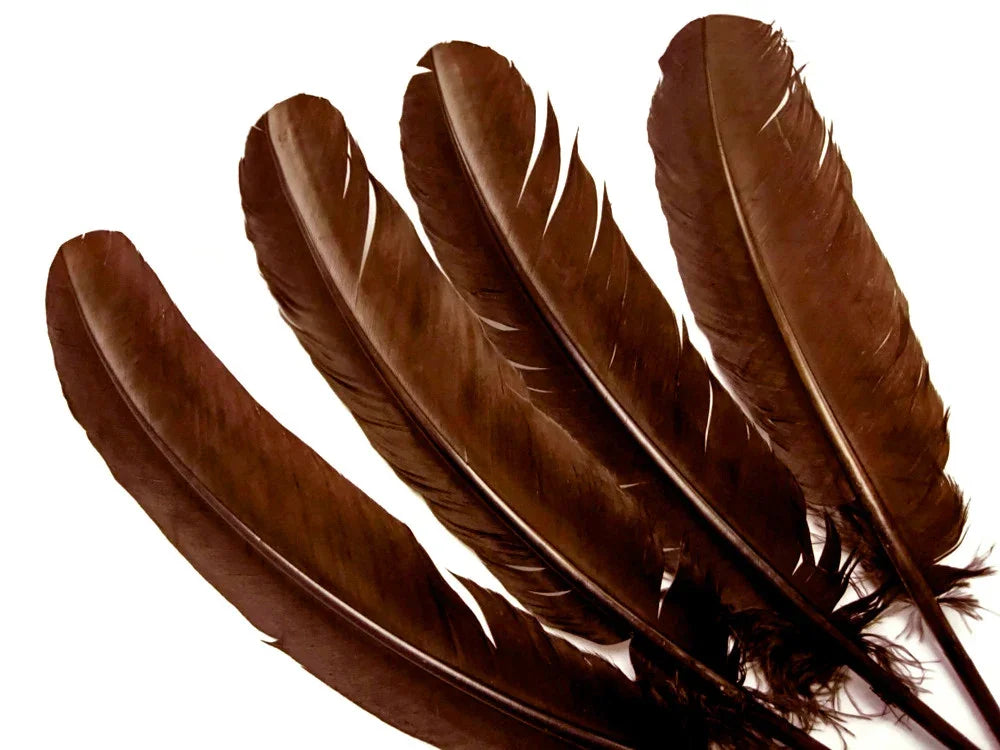 Four large dark brown natural feathers for DIY crafts and fashion decor on a white background.