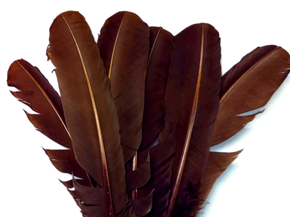 6 Pieces - Brown Turkey Rounds Secondary Wing Quill Feathers