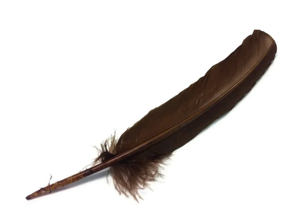 Single large dark brown natural feather for crafts and DIY decor on white background.