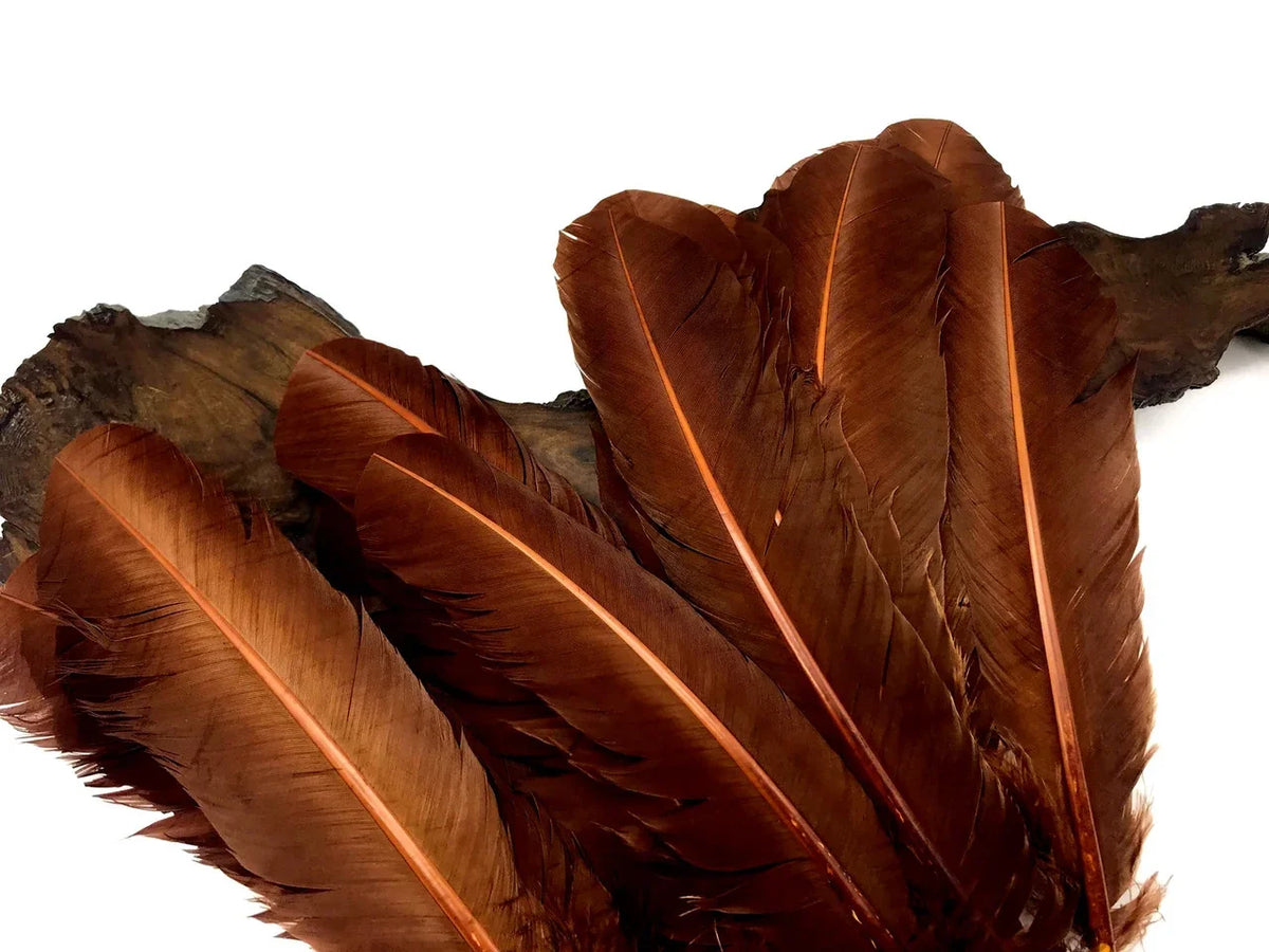 Natural brown feathers with orange quill accents for crafts and fashion DIY supplies.