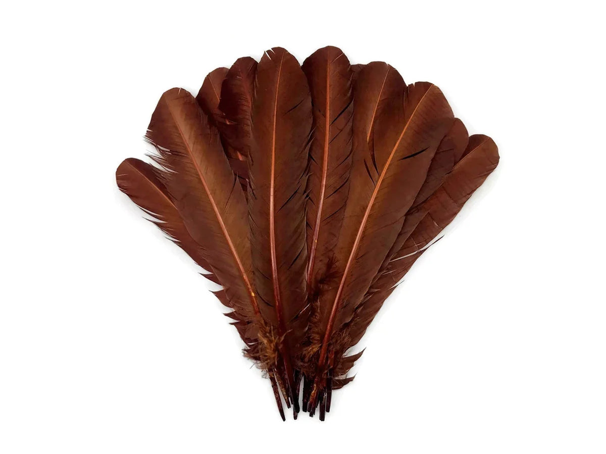 Natural brown feathers arranged in a fan shape for crafts and fashion DIY supplies.