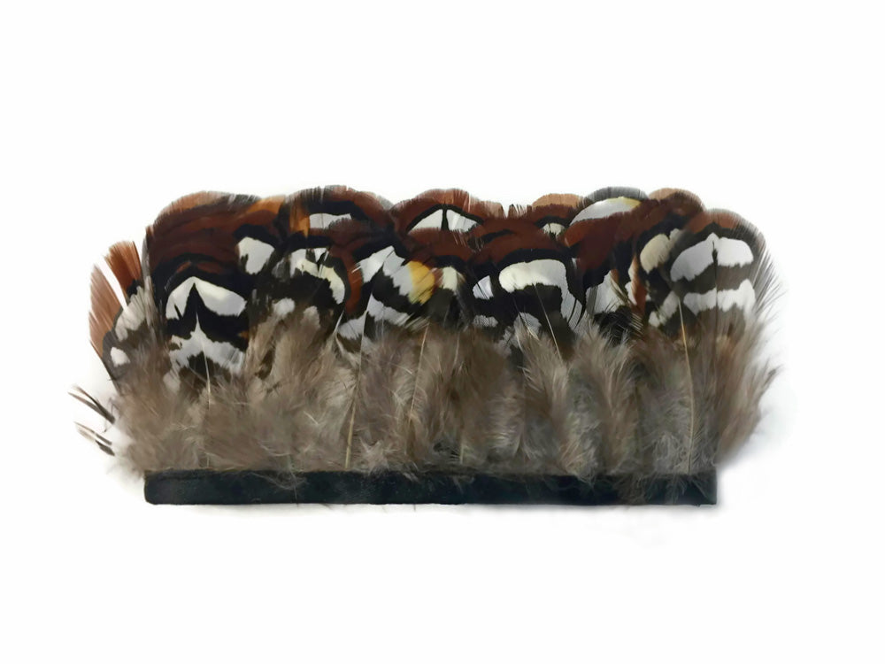 1 Yard - Natural Brown Venery Pheasant Plumage Feather Trim