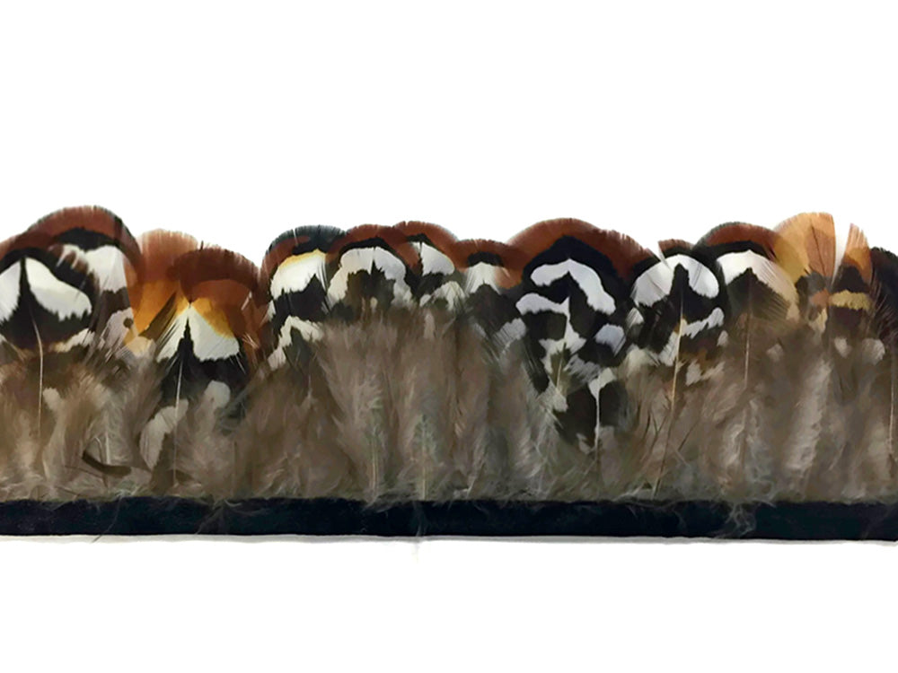 1 Yard - Natural Brown Venery Pheasant Plumage Feather Trim