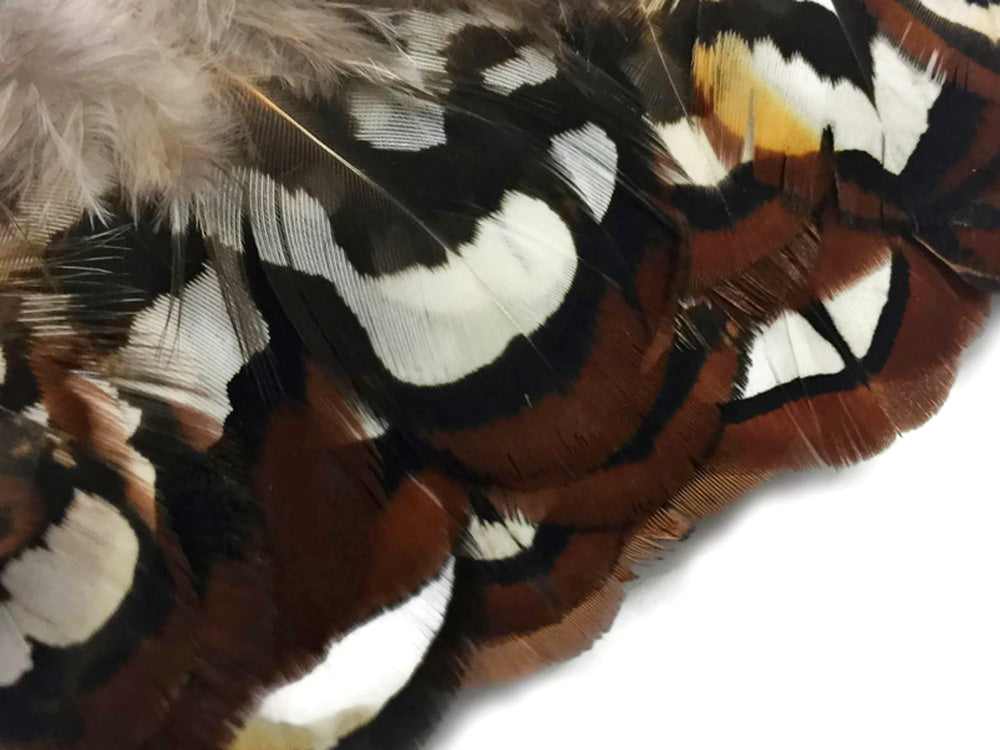 1 Yard - Natural Brown Venery Pheasant Plumage Feather Trim