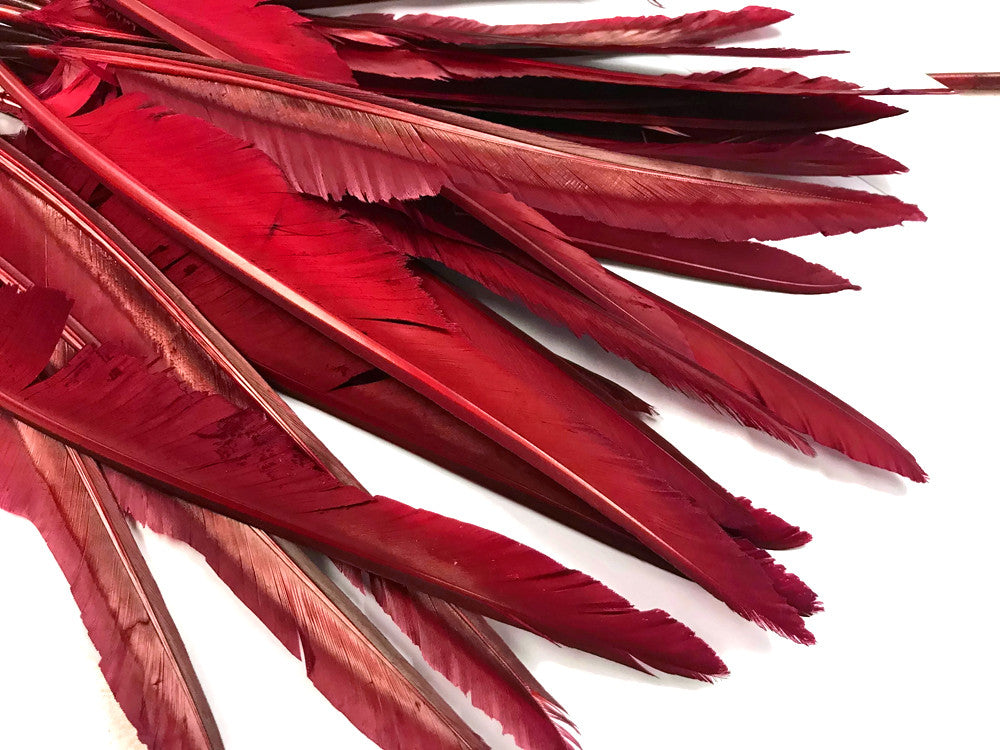 10 Pieces - Burgundy  Goose Pointers Long Primaries Wing Feathers