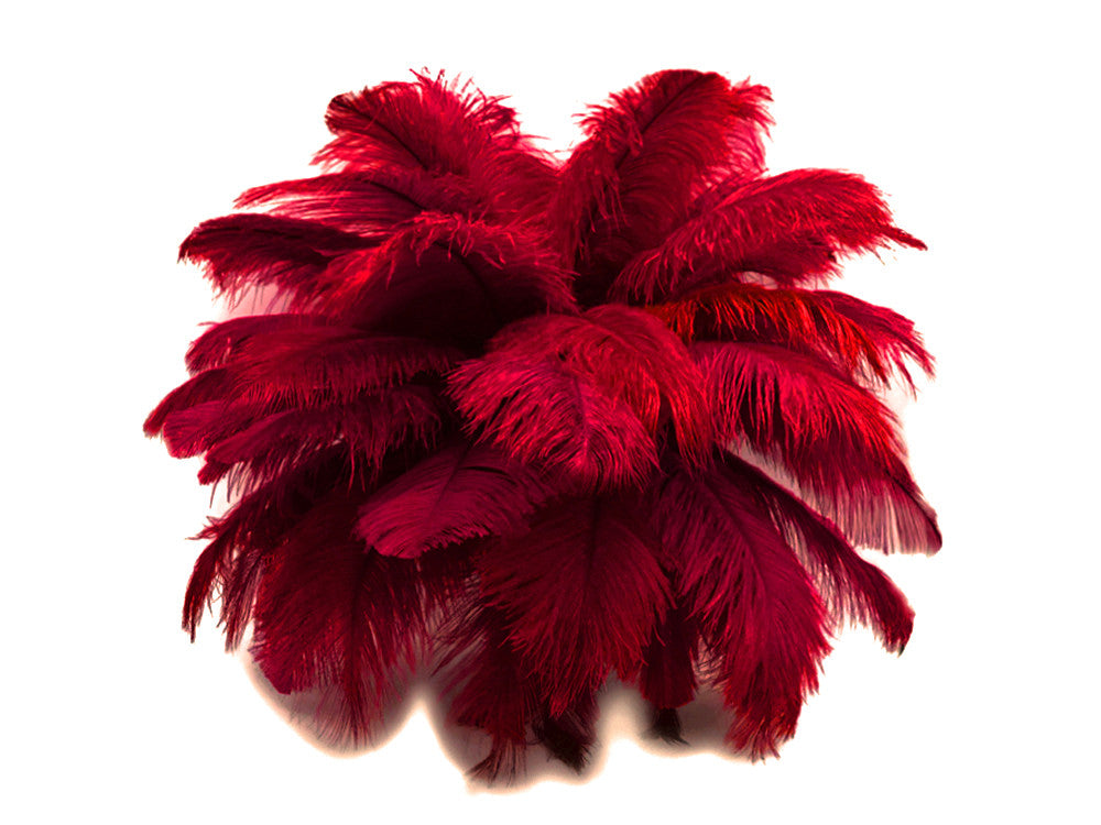 10 Pieces - 17-19" Burgundy Large Bleached & Dyed Ostrich Drabs Body Feathers