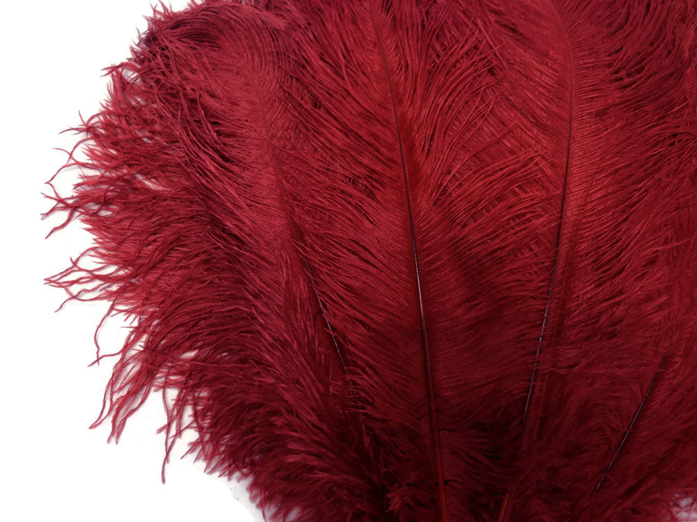 10 Pieces - 14-17"  Burgundy Ostrich Dyed Drab Body Feathers