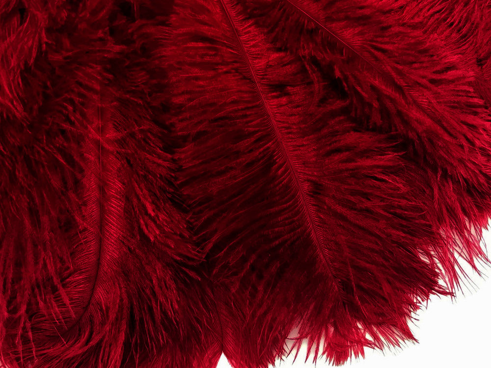 10 Pieces - 17-19" Burgundy Large Bleached & Dyed Ostrich Drabs Body Feathers