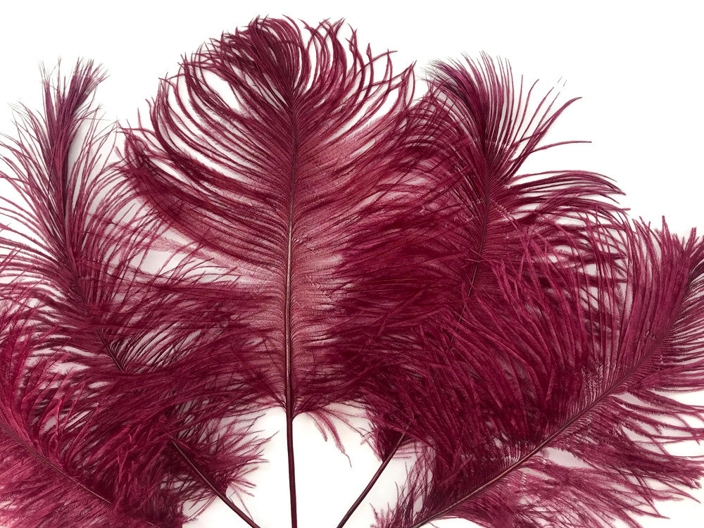 10 Pieces -  12-16" Burgundy Dyed Ostrich Tail Fancy Feathers