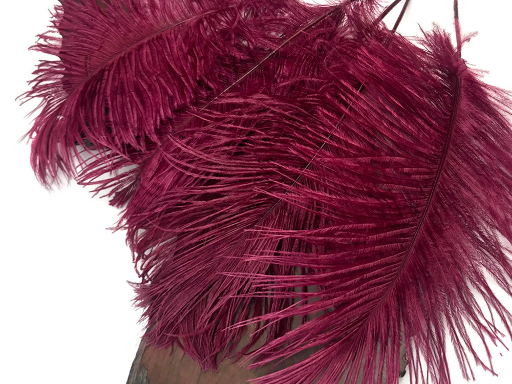 10 Pieces -  12-16" Burgundy Dyed Ostrich Tail Fancy Feathers