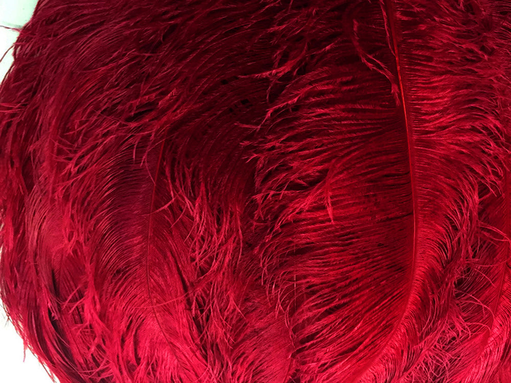 2 Pieces - 18-24" Burgundy Large Prime Grade Ostrich Wing Plume Centerpiece Feathers