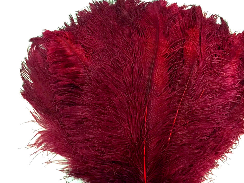 2 Pieces - 18-24" Burgundy Large Prime Grade Ostrich Wing Plume Centerpiece Feathers