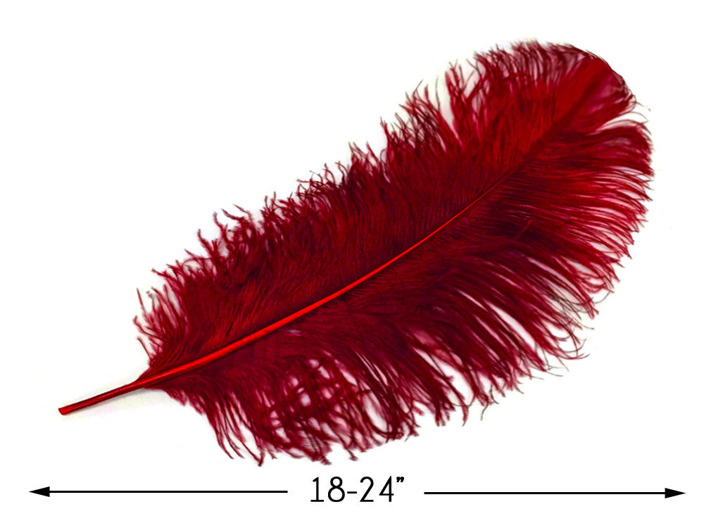 1/2 Lb. - 18-24" Burgundy Large Ostrich Wing Plume Wholesale Feathers (Bulk)