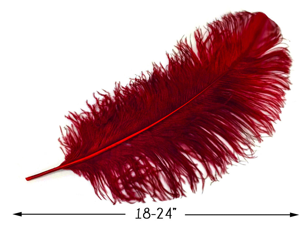 2 Pieces - 18-24" Burgundy Large Prime Grade Ostrich Wing Plume Centerpiece Feathers