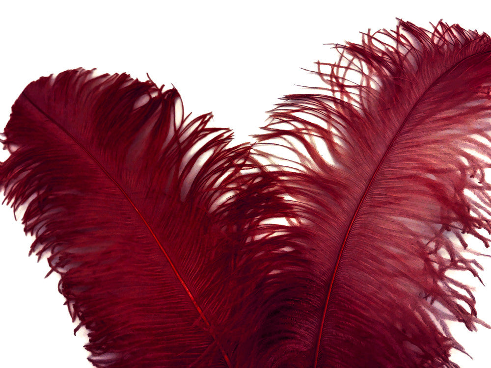 2 Pieces - 18-24" Burgundy Large Prime Grade Ostrich Wing Plume Centerpiece Feathers