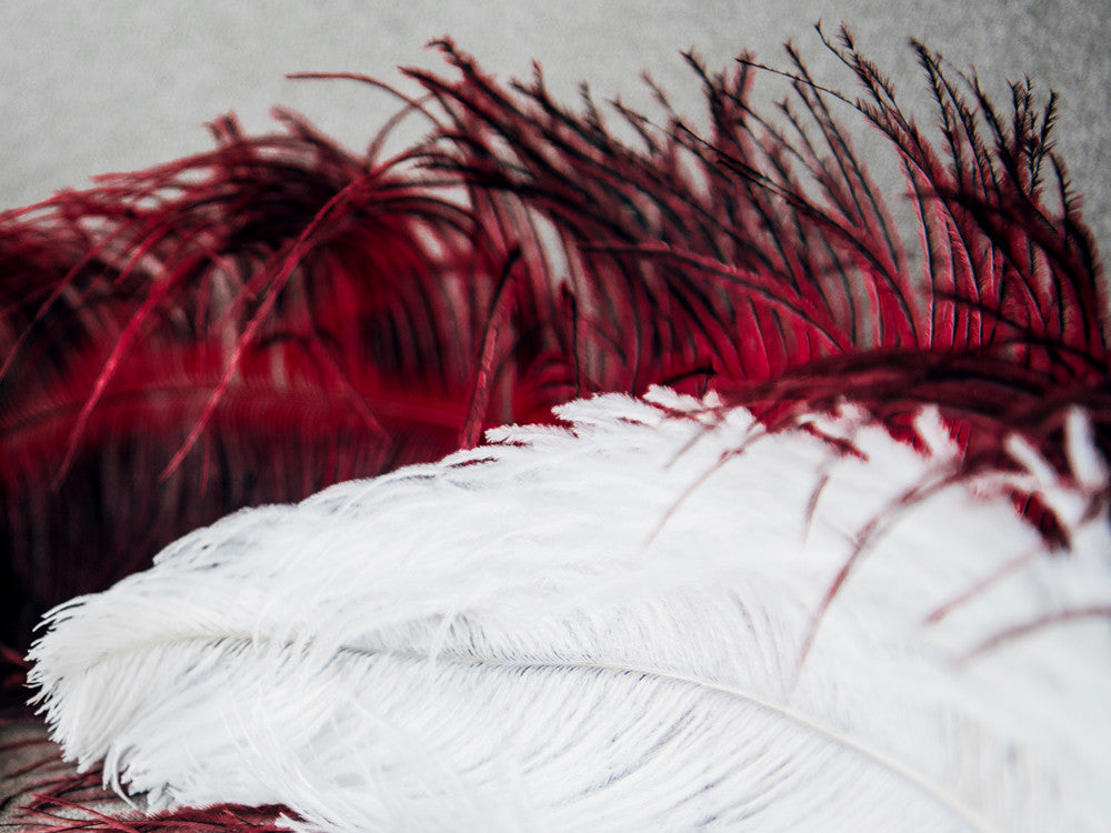 1/2 Lb. - 18-24" Burgundy Large Ostrich Wing Plume Wholesale Feathers (Bulk)