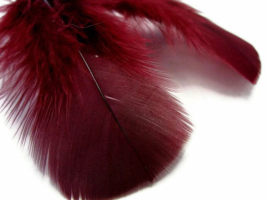 1/4 Lb - Burgundy Turkey T-Base Wholesale Body Plumage Feathers (Bulk)