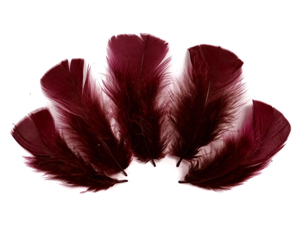 1/4 Lb - Burgundy Turkey T-Base Wholesale Body Plumage Feathers (Bulk)