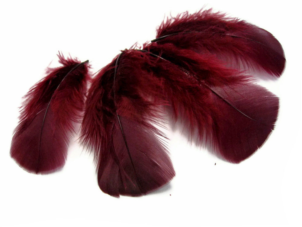 1/4 Lb - Burgundy Turkey T-Base Wholesale Body Plumage Feathers (Bulk)