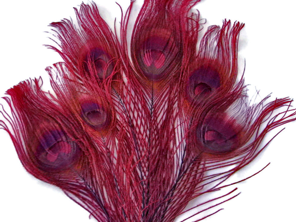 5 Pieces – Burgundy Bleached & Dyed Peacock Tail Eye Feathers 10-12” Long 