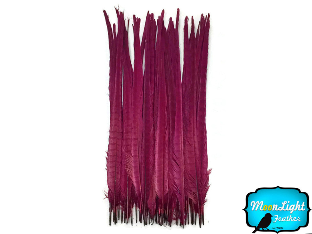 10 Pieces - 18-22" Burgundy Bleached and Dyed Long Ringneck Pheasant Tail Feathers