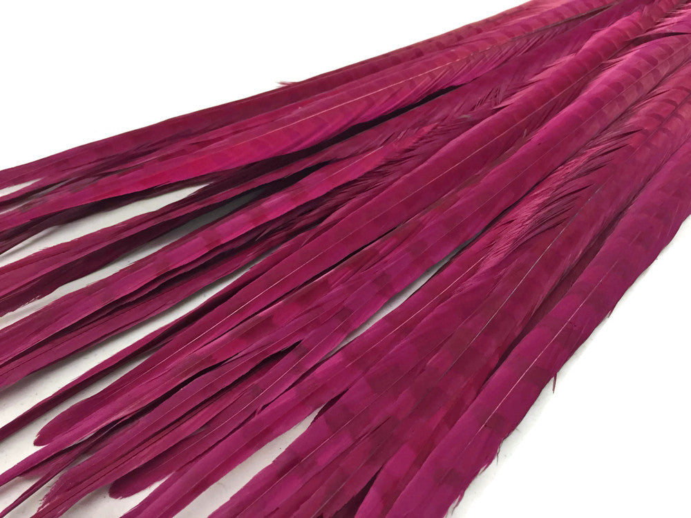 10 Pieces - 18-22" Burgundy Bleached and Dyed Long Ringneck Pheasant Tail Feathers